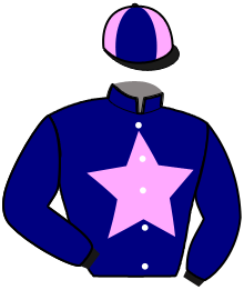 Casaque du n°3 — KLASS D'ESPOIR