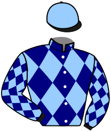 Casaque du n°12 — JERRY DE L'ERDRE