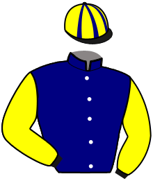 Casaque du n°1 — OSCAR DES BRUYERES