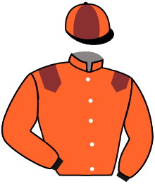 Casaque du n°4 — ARENUI