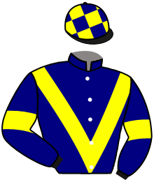 Casaque du n°10 — ODINE