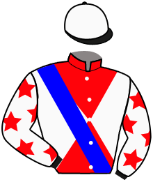 Casaque du n°11 — THE FIST