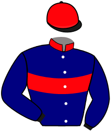 Casaque du n°14 — LA SAGRA