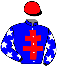 Casaque du n°5 — IN VICTIS