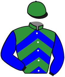 Casaque du n°10 — SERIAL WINNER