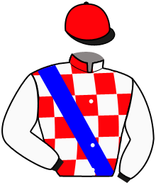 Casaque du n°11 — LANDARYNA