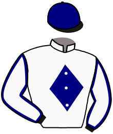 Casaque du n°11 — SILVER SOUL