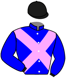 Casaque du n°10 — SILILLY
