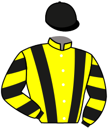 Casaque du n°2 — DIEGO D'ARTOIS