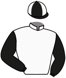 Casaque du n°3 — MARSANNAY