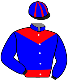 Casaque du n°6 — L.A.BOKO