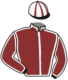 Casaque du n°4 — WINDHUK