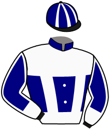Casaque du n°3 — ROYAL ROMANCE