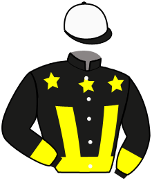 Casaque du n°3 — GIGIO EFFE