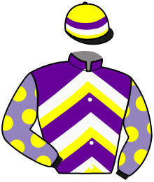 Casaque du n°11 — VON BAER