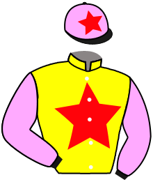 Casaque du n°3 — FORTUNE SUPERNOVA