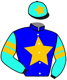 Casaque du n°1 — MIGHTY STEED