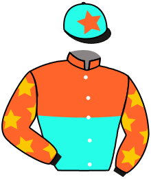 Casaque du n°2 — CALIFORNIA MOXIE