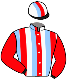 Casaque du n°1 — LAKESHORE HERO
