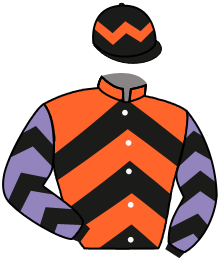 Casaque du n°10 — WINNING DIAMOND