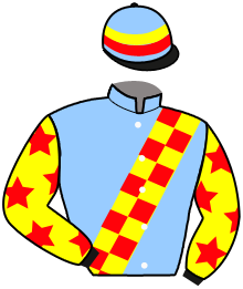 Casaque du n°5 — MISSION GIANT