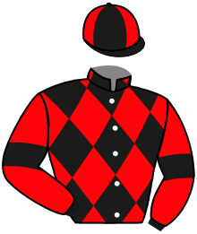 Casaque du n°12 — GENERAL REDWOOD