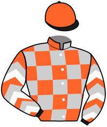 Casaque du n°11 — TURBO JEFFERIES