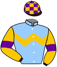 Casaque du n°3 — SUPERB KING