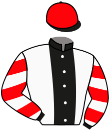 Casaque du n°5 — GEORGIAN SIGMA