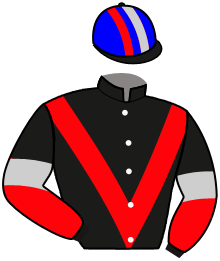 Casaque du n°7 — GIANT SPIRIT