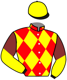 Casaque du n°8 — HARMONY FIRE