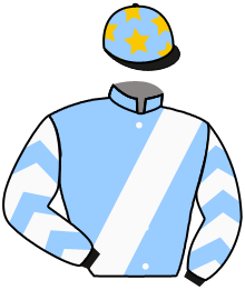Casaque du n°9 — DAY DAY VICTORY