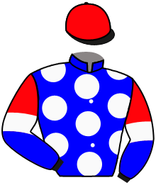 Casaque du n°2 — FORERUNNER
