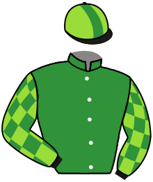 Casaque du n°4 — LEADING DRAGON