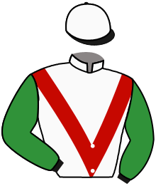 Casaque du n°7 — GOOD LUCK HAPPY