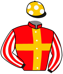 Casaque du n°10 — TANG HEART