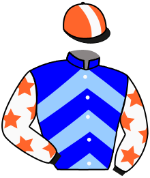 Casaque du n°11 — ACE CHAMPION