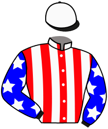 Casaque du n°10 — SAN JUANITO
