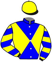 Casaque du n°8 — LADY MANZOR