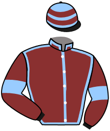 Casaque du n°1 — REY DE LA BATALLA