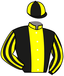 Casaque du n°13 — UPSOMDOWNS