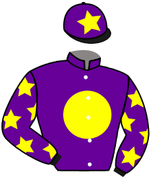 Casaque du n°2 — JERSEY MAVERICK