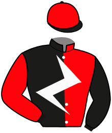 Casaque du n°1 — DON MASTER