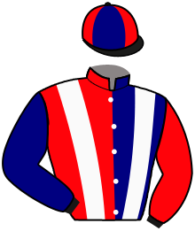 Casaque du n°2 — LEGITIMO SOY