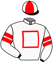 Casaque du n°7 — NOBU