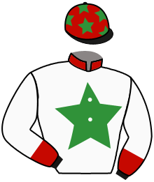 Casaque du n°1 — EL INDOLENTE