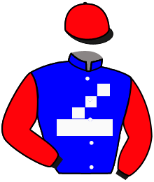 Casaque du n°2 — RAUL BILL