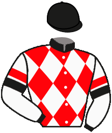 Casaque du n°7 — SEEK THE CHAMP