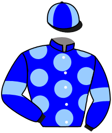 Casaque du n°8 — ALQASWA