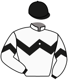 Casaque du n°1 — LUCKY STORM